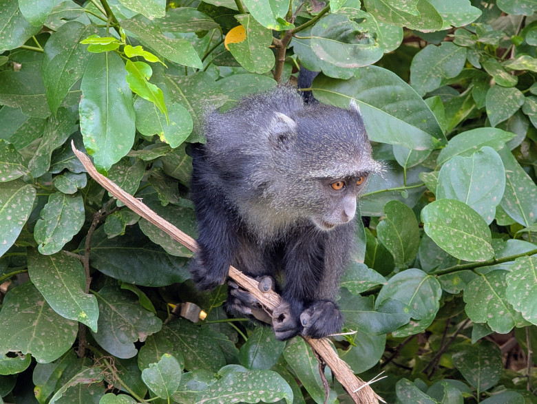 Lake Manyara