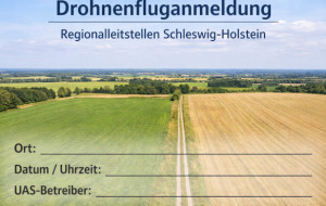 Fluganmeldung RLS